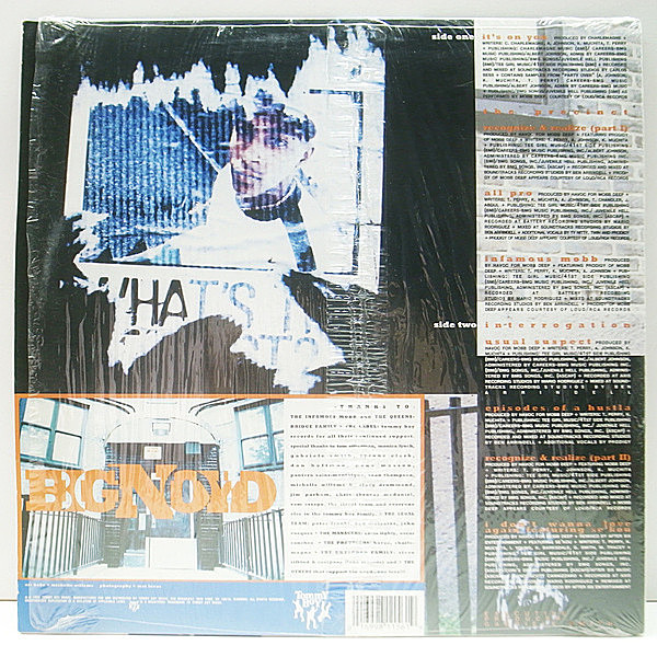 BIG NOYD / Episodes Of A Hustla (LP) / Tommy Boy | WAXPEND