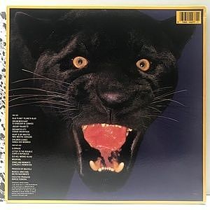 レコードサブ画像：2