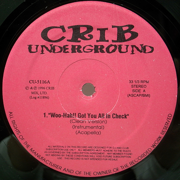 BUSTA RHYMES / Woo-Hah!! Got You All In Check (12) / Crib