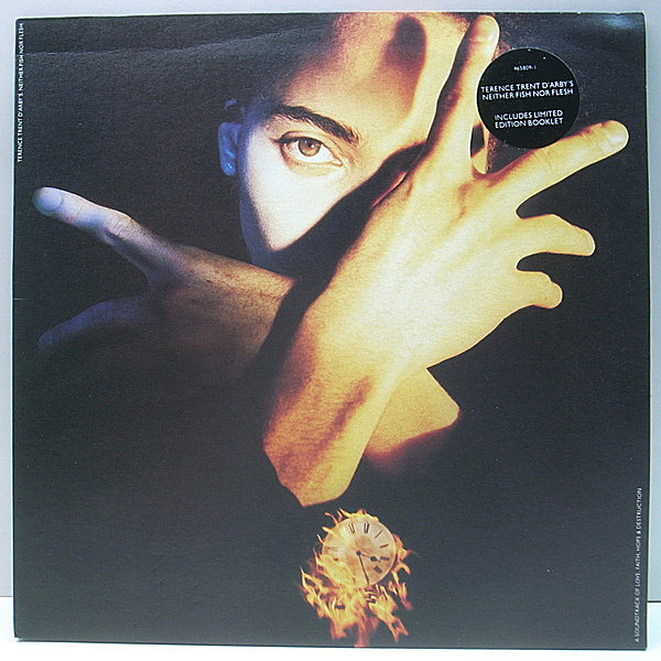 レコードメイン画像：【専用インナー・ブックレット付き】美品!! UKオリジナル TERENCE TRENT D'ARBY Neither Fish Nor Flesh ('89 CBS) テクスチャードJK 2nd.