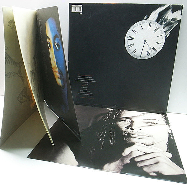 Terence Trent Darby レコード TERENCE TRENT D'ARBY (テレンス・トレント・ダービー