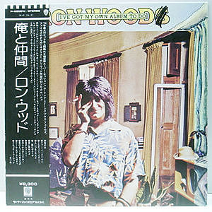 レコードサブ画像：1