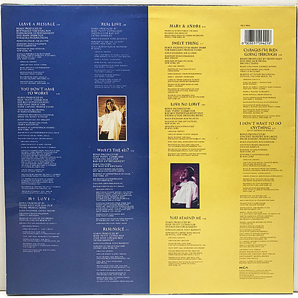 MARY J BLIGE / What's The 411? Remix (LP) / MCA | WAXPEND