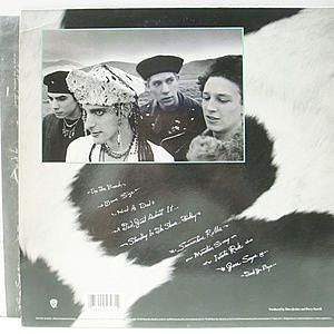 レコードサブ画像：2