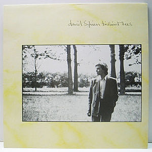 レコード画像：DAVID SYLVIAN / Brilliant Trees