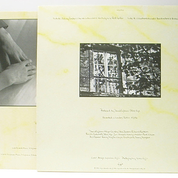 DAVID SYLVIAN / Brilliant Trees (LP) / Virgin | WAXPEND RECORDS