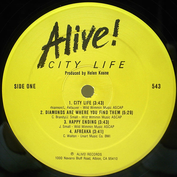 The Adicts – Life Goes On – Vinyl (LP, Album), 2009