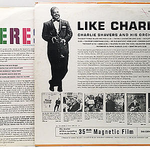 レコードサブ画像：2