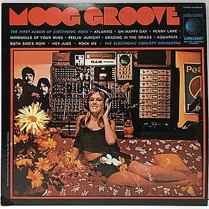 レコード画像：ELECTRONIC CONCEPT ORCHESTRA / Moog Groove