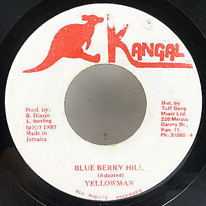 レコード画像：YELLOWMAN / Blue Berry Hill