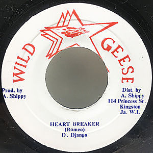 レコードサブ画像：1