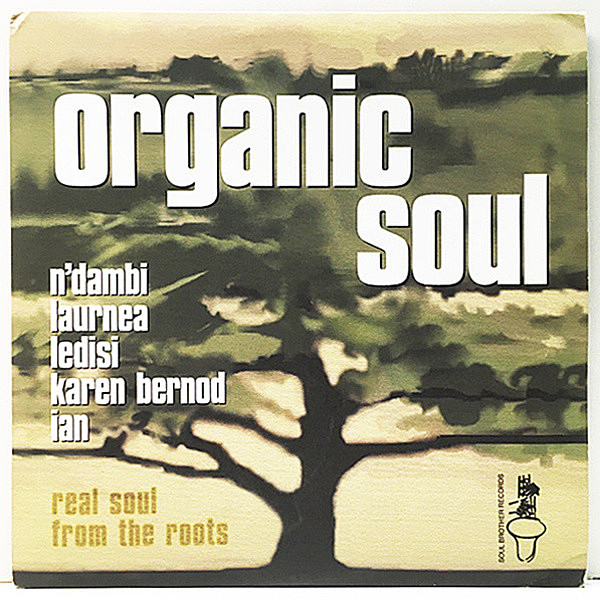 レコードメイン画像：【良センスなネオ・ソウル満載】2Lp 美品 Organic Soul - Real Soul From The Roots (Soul Brother) Ledisi, Karen Bernod, Laurnea ほか
