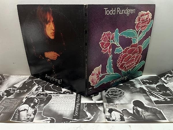 TODD RUNDGREN / Something/Anithing? (LP) / Bearsville
