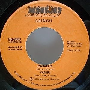 レコードサブ画像：2