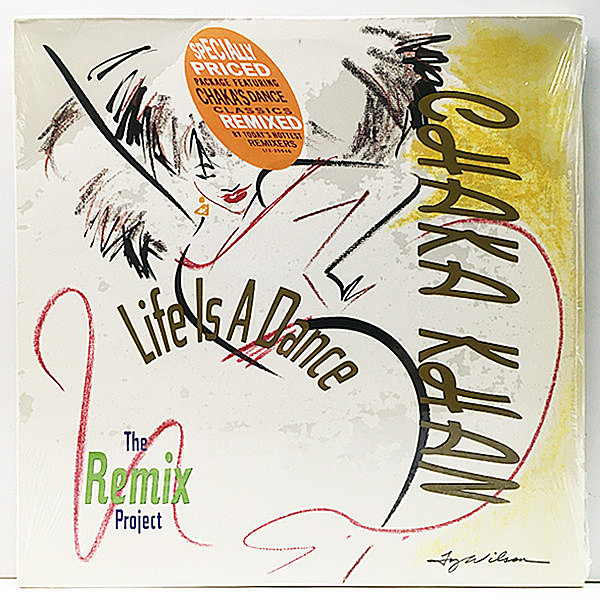 レコードメイン画像：【チャカ・カーン名曲群リミックス集】'89年 2Lp 美品 CHAKA KHAN Life Is A Dance - The Remix Project (Warner) I Know You, I Live You