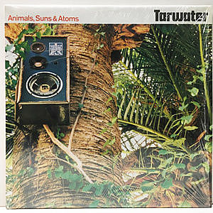 レコード画像：TARWATER / Animals, Suns & Atoms