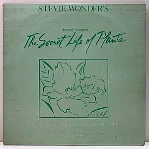 レコード画像：STEVIE WONDER / Journey Through The Secret Life Of Plants