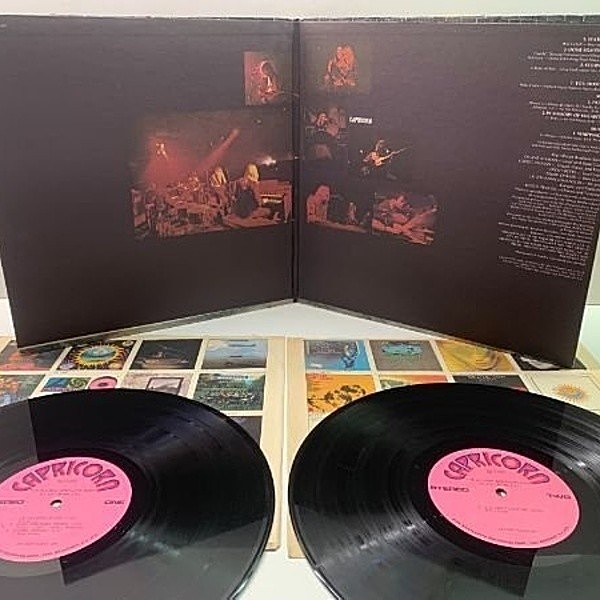 ALLMAN BROTHERS BAND / The Allman Brothers Band At Fillmore