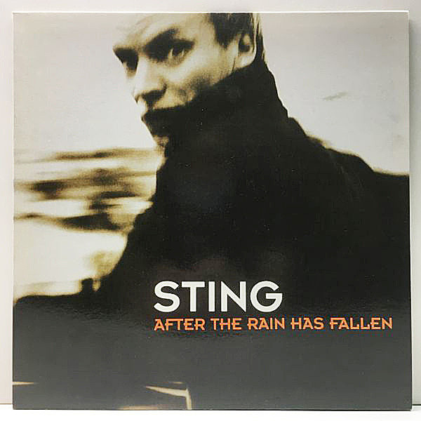 レコードメイン画像：【名曲Shape Of My Hearth】美品!! 正規リリースのアナログで聴けるのはこのイタリア盤のみ！STING After The Rain Has Fallen 映画 Leon