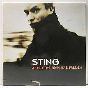 レコードサブ画像：1