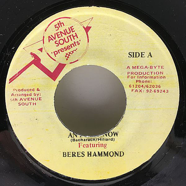 レコードメイン画像：【Cover Lovers】ソウルフルな名曲カヴァー！JAオリジ BERES HAMMOND Any Day Now (5th Avenue South) BURT BACHARACH