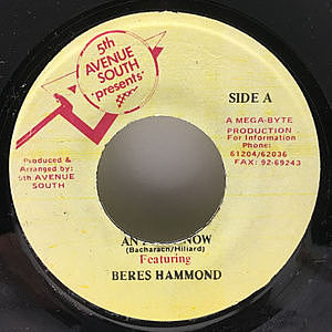 レコード画像：BERES HAMMOND / Any Day Now