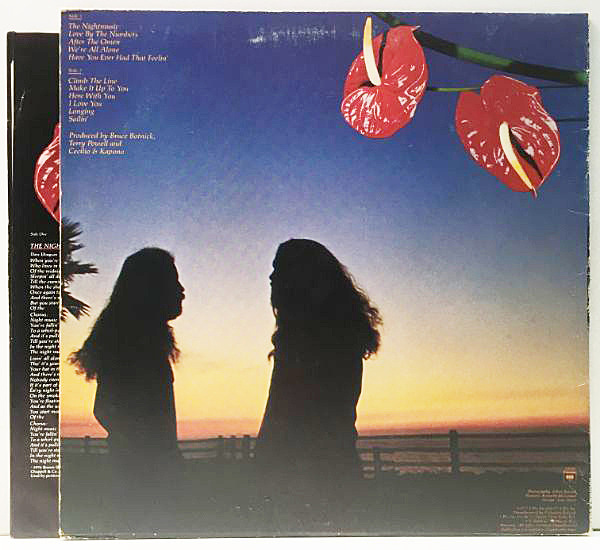 Cecilio & Kapono Night Music レコード CECILIO & KAPONO / Night Music (LP) / Columbia | WAXPEND RECORDS
