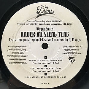 レコード画像：WAYNE SMITH / Under Mi Sleng Teng