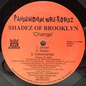 レコード画像：SHADEZ OF BROOKLYN / Change / When It Rains It Pours (Survival Warz!)