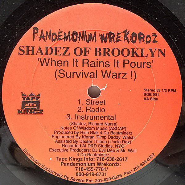 SHADEZ OF BROOKLYN / Change / When It Rains It Pours (Survival