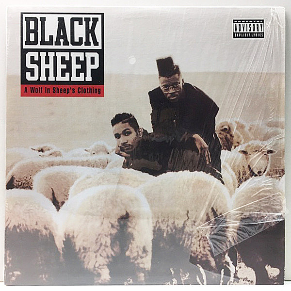 レコードメイン画像：シュリンク極美品!! USプレス BLACK SHEEP A Wolf In Sheep's Clothing (Mercury 848 368-1) Flavor Of The Month, The Choice Is Yours 他