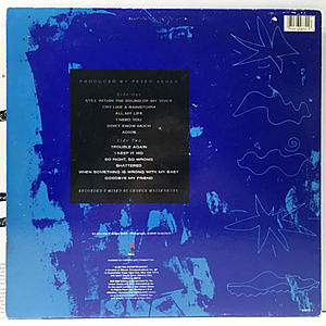 レコードサブ画像：2