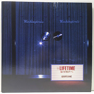 レコード画像：GRAPEVINE / Lifetime