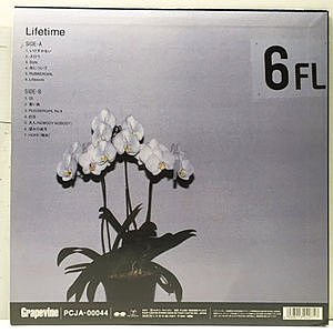 GRAPEVINE / Lifetime (LP) / Pony Canyon Inc. | WAXPEND RECORDS