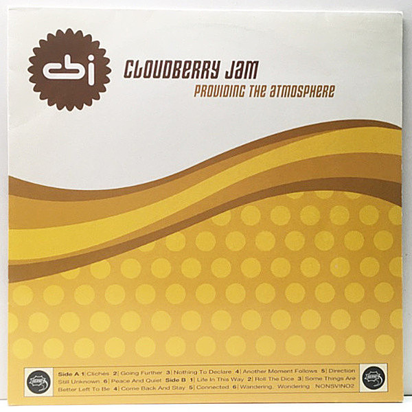 レコードメイン画像：激レア!SWEDENオンリー! 美品 '96年 稀少アナログ CLOUDBERRY JAM Providing The Atmosphere クラウドベリー・ジャム Lp