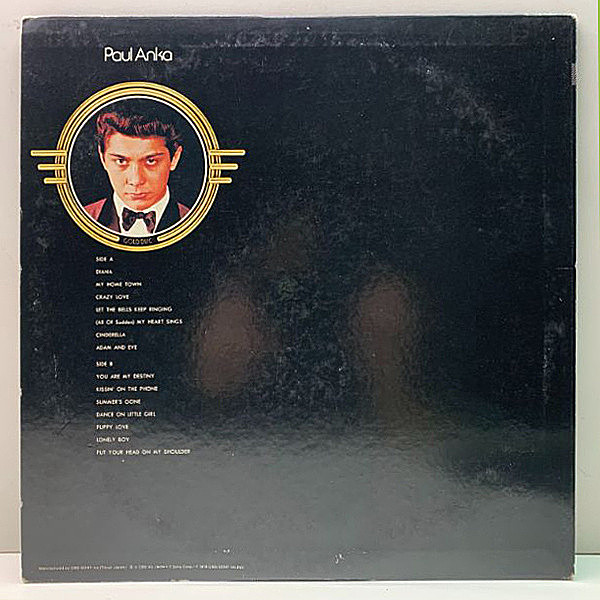 アンディウォーフォルが描いた❗️ボールアンカ　孤独のペインターLP ポール・アンカ PAUL ANKA / 孤独のペインター THE PAINTER (LP