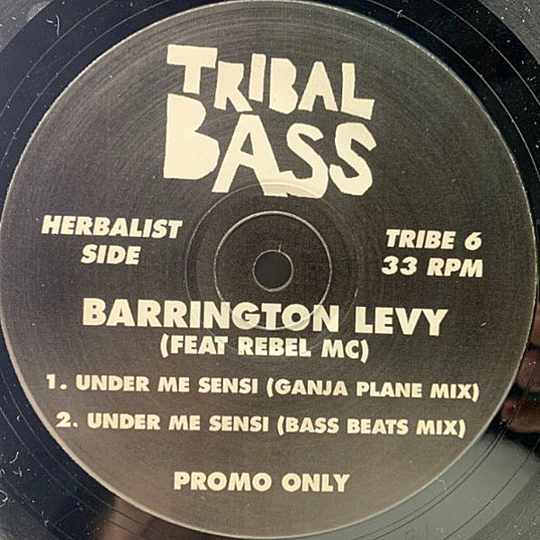 レコードメイン画像：UKオンリー BARRINGTON LEVY Feat REBEL MC Under Me Sensi ('92 Tribal Bass) ファンデーション大傑作 リミックス全4Ver. Ganja Plane Mix