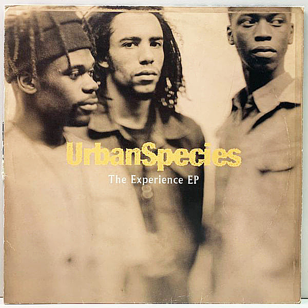 レコードメイン画像：先行EP 英オリジナル URBAN SPECIES The Experience EP ('93 Talkin' Loud) No Particular Title, The Ropes 12インチ