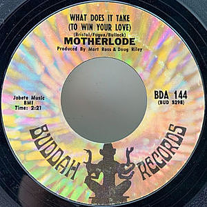 レコード画像：MOTHERLODE / What Does It Take (To Win Your Love)