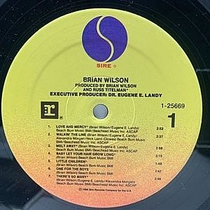 Brian Wilson　ブライアン・ウィルソン　 レコード BRIAN WILSON / Same (LP) / Sire | WAXPEND RECORDS
