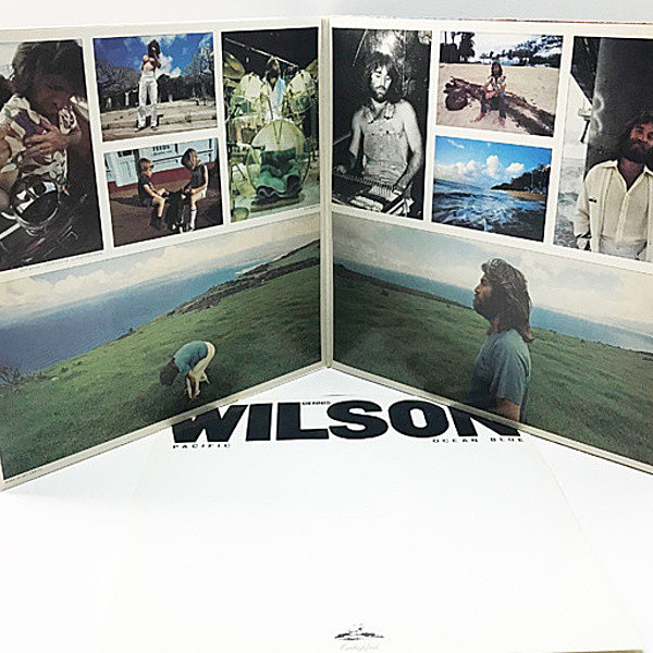 欧LP Dennis Wilson Pacific Ocean Blue MOVLP096 Caribou Records, Mus 未開封 /00400 WILSON,DENNIS - Pacific Ocean Blue - Amazon.com Music