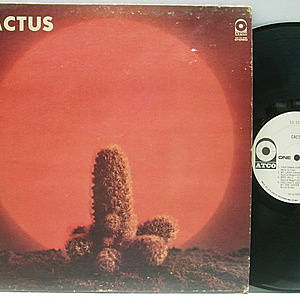 レコードサブ画像：1