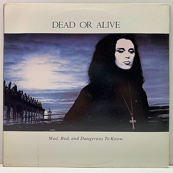 レコードメイン画像：良好盤!! USオリジナル DEAD OR ALIVE Mad, Bad And Dangerous To Know ('86 Epic) Brand New Lover 収録 3rd.アルバム LP