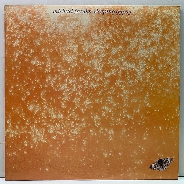 レコードメイン画像：Cut無し!美品! US初期 MICHAEL FRANKS Sleeping Gypsy (Waner) Michael Brecker, Joao Donato 豪華絢爛 マイケル・フランクス AOR 大名盤