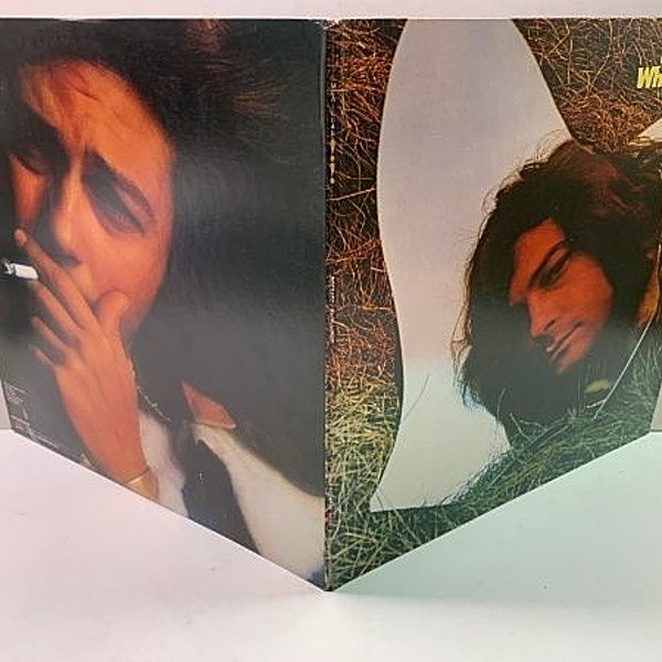 ザ・フィールド・マイス / 別れのコースタル DEODATO / Whirlwinds (LP) / MCA | WAXPEND RECORDS