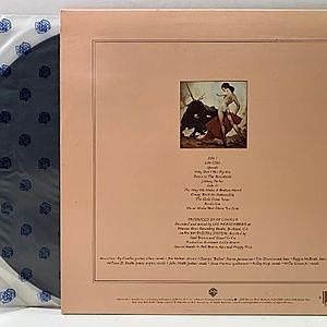 レコードサブ画像：2