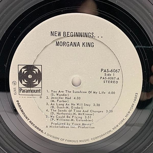 Paul Stephens - Nubian Knights レコード Paul Stephens - Nubian Knights レコード