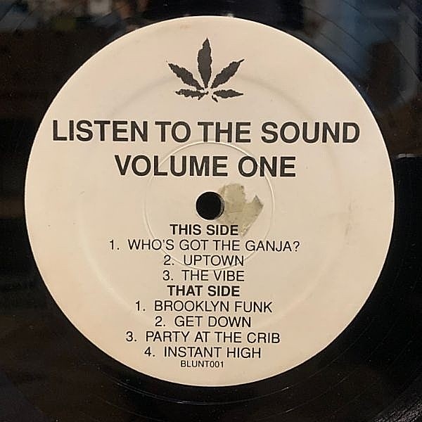 レコードメイン画像：【ドロドロさが心地よい正体不明の珍盤】USオリジナル UNKNOWN / Listen To The Sound Volume One (Listen To The Sound) LP アングラ