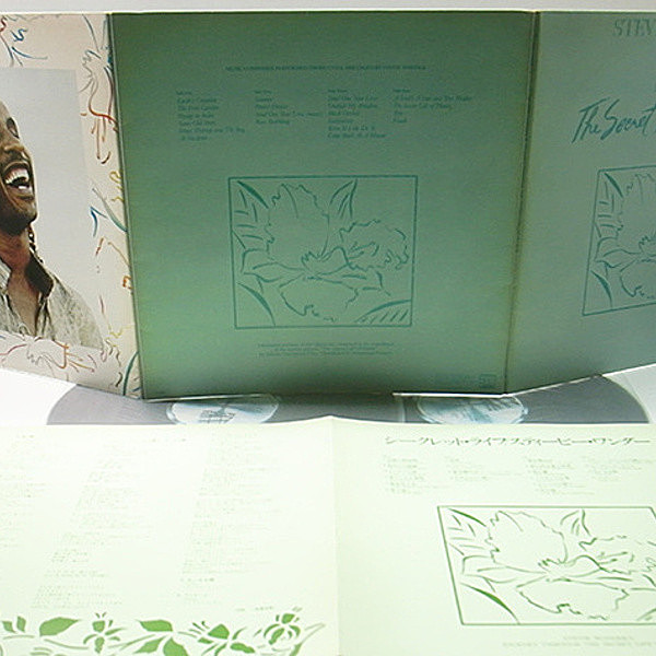 STEVIE WONDER / Journey Through The Secret Life Of Plants
