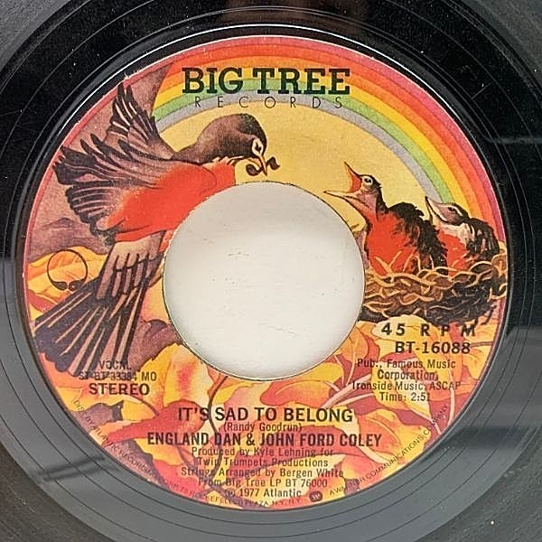 レコードメイン画像：USオリジナル 7インチ ENGLAND DAN & JOHN FORD COLEY It's Sad To Belong ('77 Big Tree) 悲しみのかなたに ／ AOR 名作 45RPM.